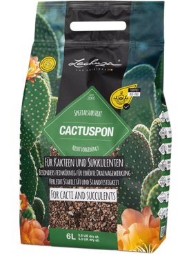 Lechuza Cactus Pon 6 ltr.