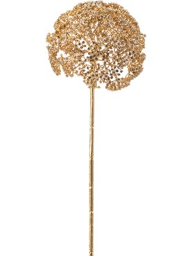 Achillea Gold/Silver