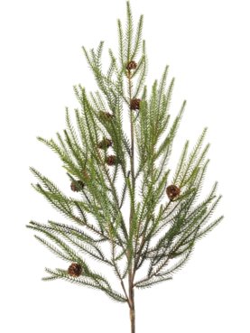 Pine Branch With Cones