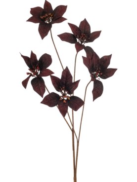 Poinsettia Burgundy Velvet