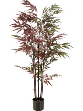 Bamboo Green/Burgundy