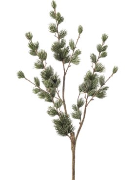 Larix Pine Green/Grey