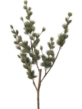 Larix Pine Green/Grey