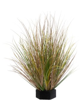 Grass Green Variegated(FR)