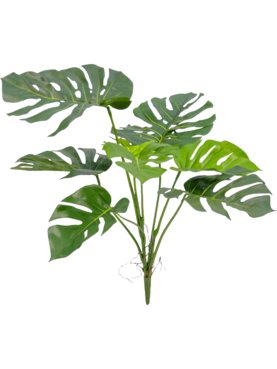 Split Philo Bush (FR)