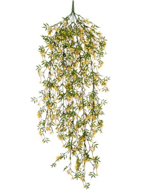 Trail Yellow Hanging Bush (FR+UV)