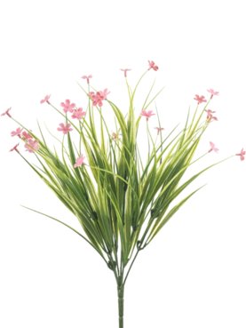 Grass Bush Pink Flower (UV)