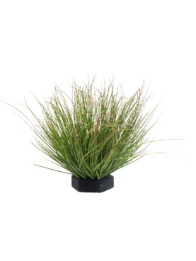 Grass Green Red Tip (FR)